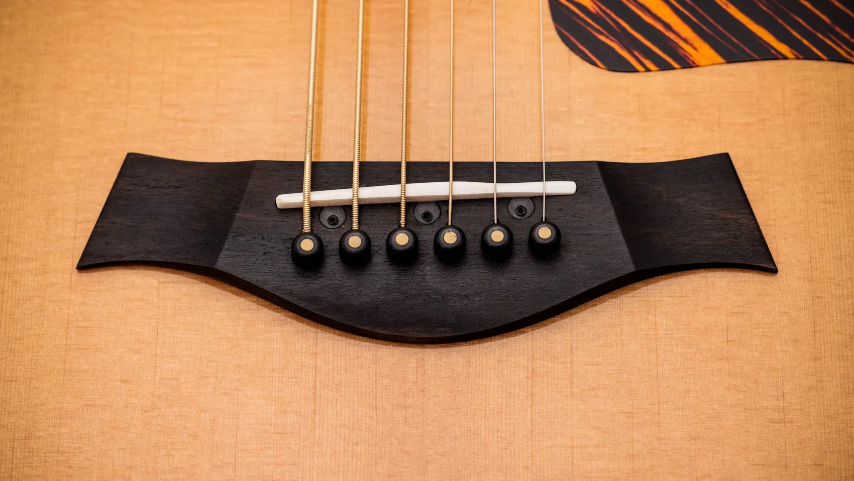 Taylor 316ce アコースティックギター Taylor Acoustic Guitars - 316CE | Mass Street Music